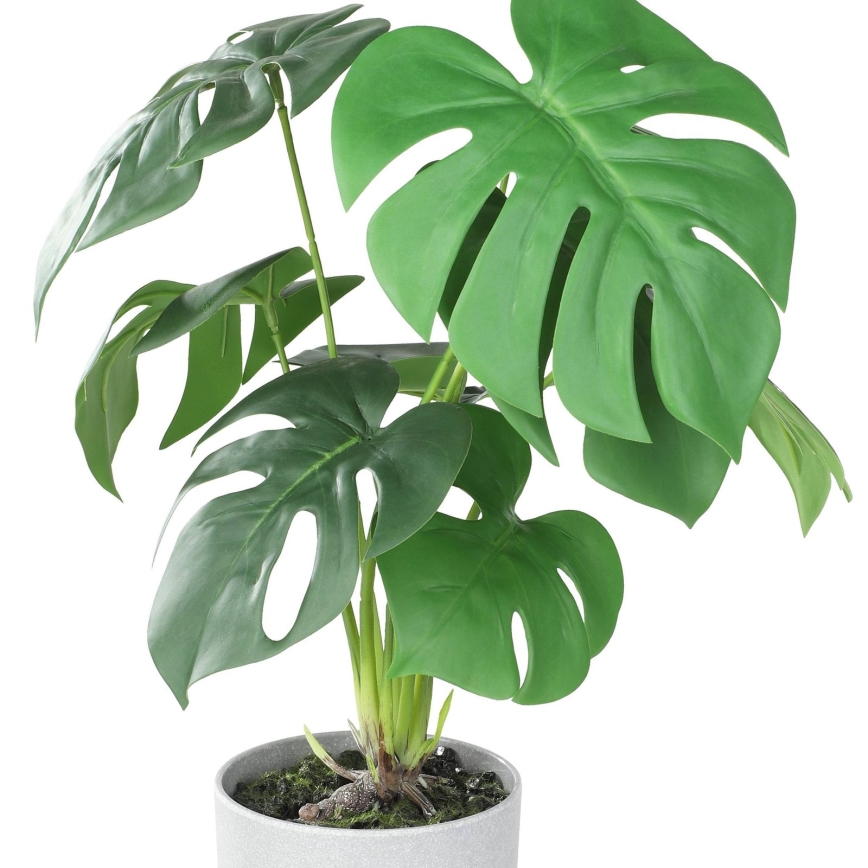 Eglo - Plante artificielle dans un pot de fleurs 42x30 cm monstera