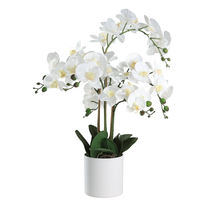 Eglo - Kunstplant in een bloempot 65x50 cm orchidee