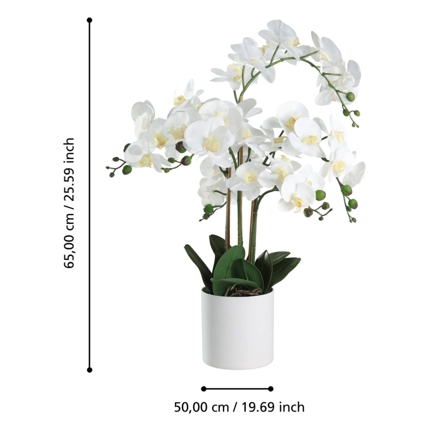 Eglo - Kunstplant in een bloempot 65x50 cm orchidee