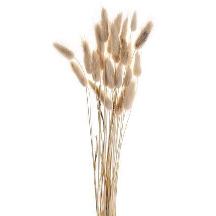 Eglo - Fleur séchée 60 cm beige