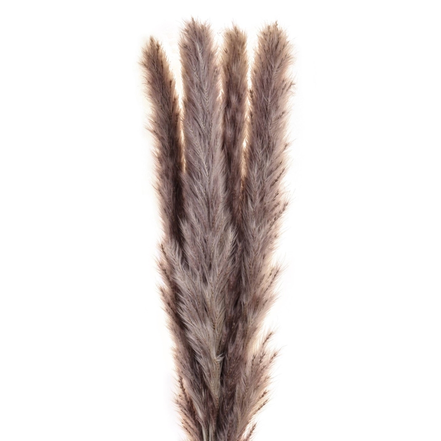 Eglo - Gedroogde bloem 60 cm paars