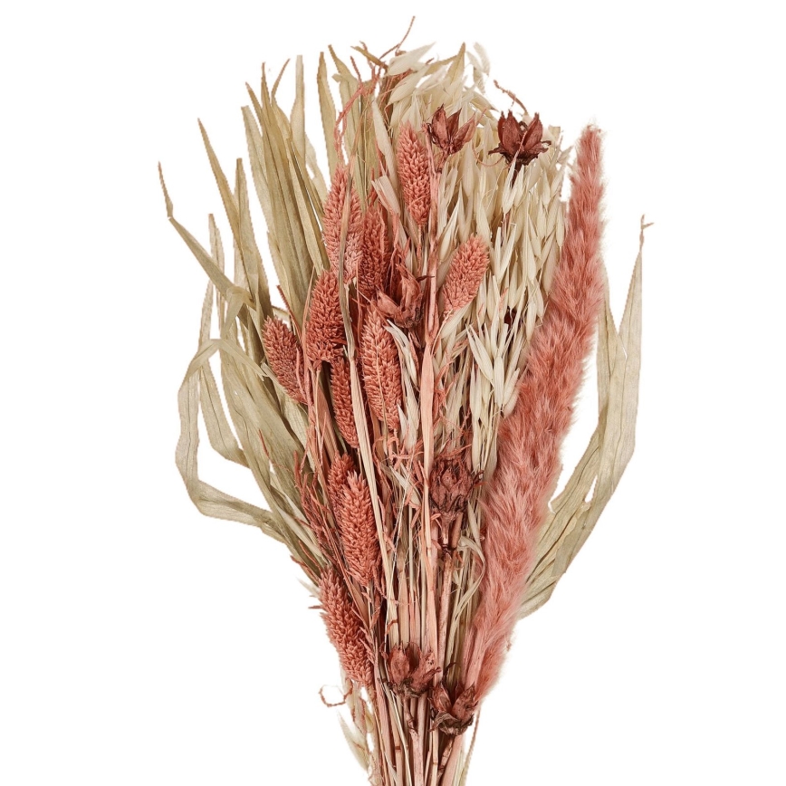 Eglo - Gedroogde bloem 60 cm oranje