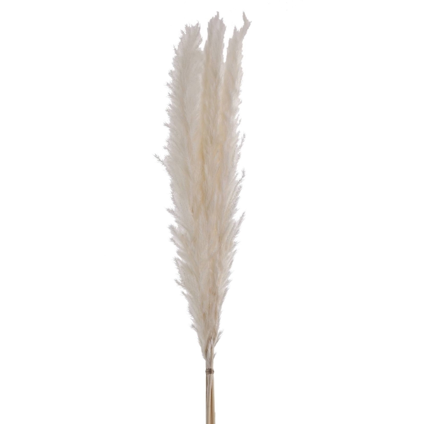 Eglo - Gedroogde bloem 70 cm wit