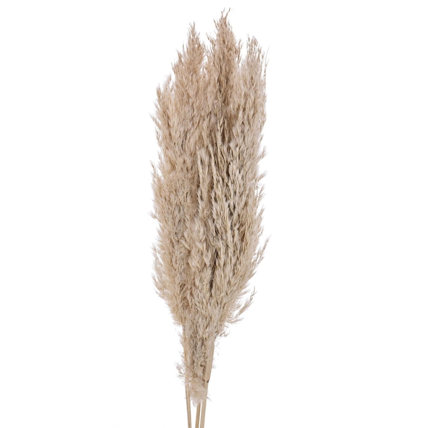 Eglo - Fleur séchée 85 cm beige