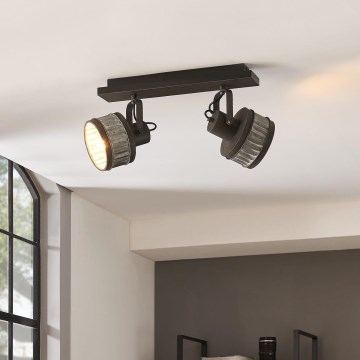 Eglo 43445 - Spotlamp TURROCK 2xE27/28W/230V