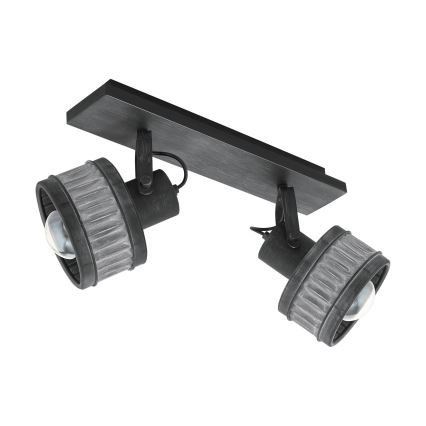 Eglo 43445 - Spotlamp TURROCK 2xE27/28W/230V
