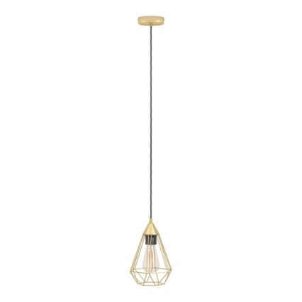 Eglo - Hanglamp aan een koord 1xE27/60W/230V d. 17,5 cm