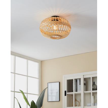 Eglo - Plafondlamp 1xE27/40W/230V