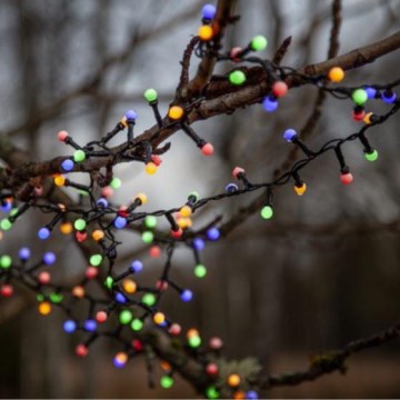 Eglo 472-53 - Guirlande de noël d'extérieur BERRY MINI 700xLED/8 fonctions 14m multicolore IP44