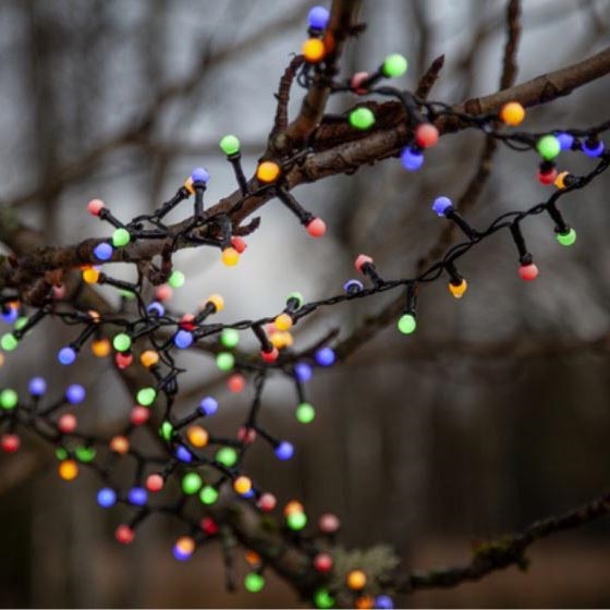 Eglo 472-53 - Guirlande de noël d'extérieur BERRY MINI 700xLED/8 fonctions 14m multicolore IP44