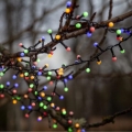 Eglo 472-53 - Guirlande de Noël LED d'extérieur BERRY MINI — 700 LED, 8 fonctions, 19 m, multicolore, IP44