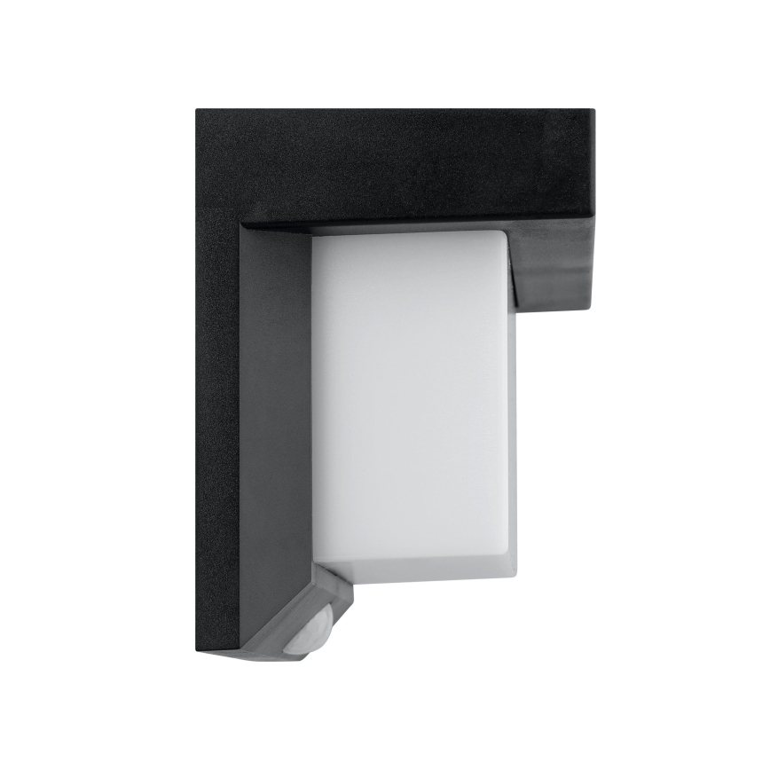 Eglo - LED Solar wandlamp met sensor LED/3,84W/3,7V IP44