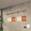 Eglo 55206 - Suspension LED sur câble TOWNSHEND 4xE27/60W/230V