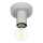 Eglo 64106 - Plafonnier IGUALA 1xE27/40W/230V gris