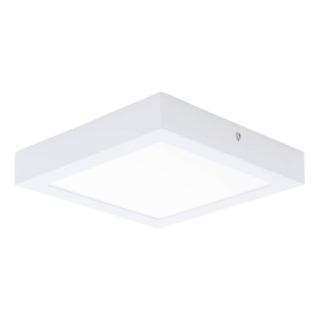 Eglo 64717 - LED Plafondlamp FUEVA PRO LED/19W/230V 3000K 22,5x22,5 cm wit