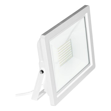 Eglo 64843 - LED Schijnwerper FILETTI LED/50W/230V 3000K IP65 wit