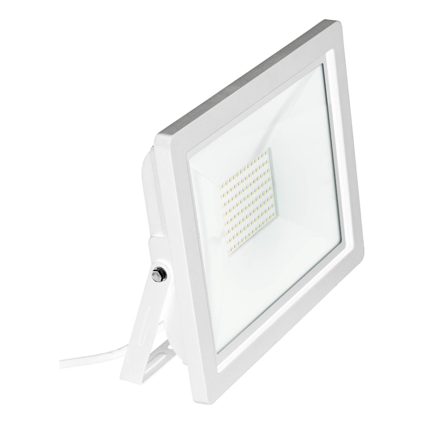 Eglo 64843 - LED Schijnwerper FILETTI LED/50W/230V 3000K IP65 wit