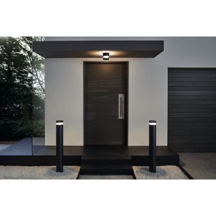 Eglo 65038 - Applique murale d'extérieur MELZO PRO LED/11W/230V 3000K IP44, noire
