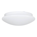 Eglo 68317 - Badkamer plafondlamp ELLA PROJEKT 1xE27/20W/230V IP44 pr. 30 cm