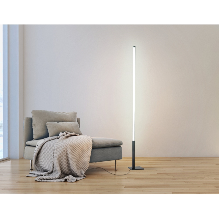 Eglo - Dimbare en Staande LED Lamp  LED/14W/230V 2700-6500K + afstandsbediening
