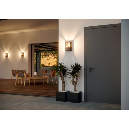 Eglo - Buitenwandlamp 1xE27/60W/230V IP44