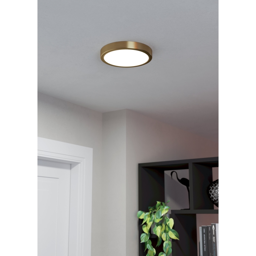 Eglo - LED plafondlamp LED/17W/230V diameter 21 cm