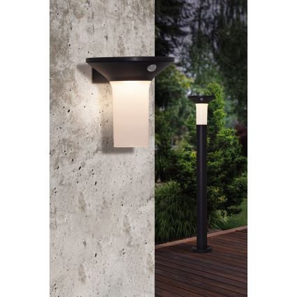 Eglo - LED solarlamp voor buiten met sensor 6xLED/0,03W/3,7V IP44
