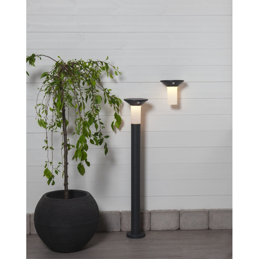 Eglo - LED solarlamp voor buiten met sensor 6xLED/0,03W/3,7V IP44