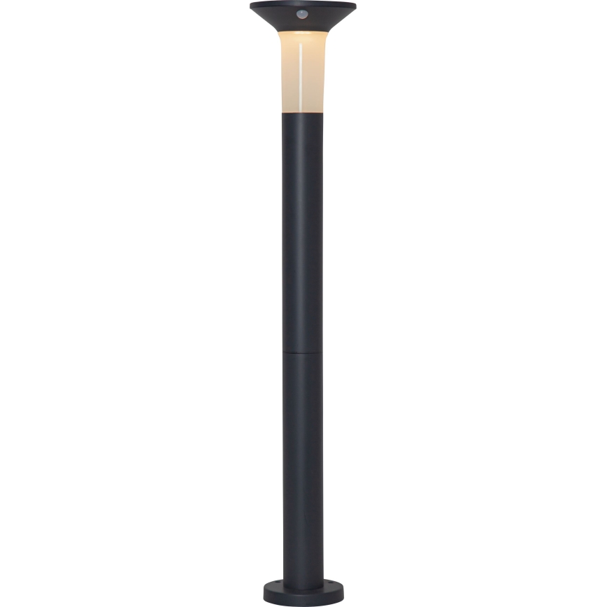 Eglo - Solar LED Lamp voor Buiten met Sensor 6xLED/0,03W/3,7V IP44