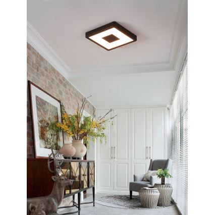 Eglo 90283 - Plafonnier LED d'extérieur LED/17W/230V IP44 noir