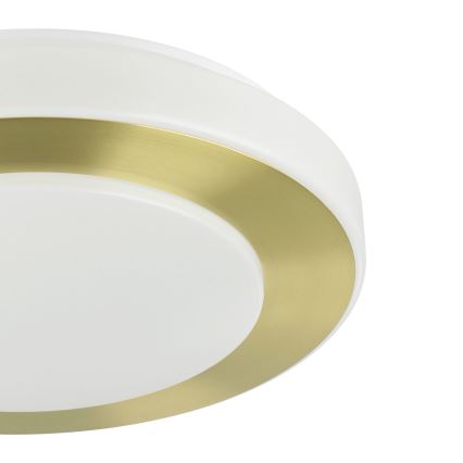 Eglo - Plafonnier LED salle de bain LED/10,8W/230V IP44