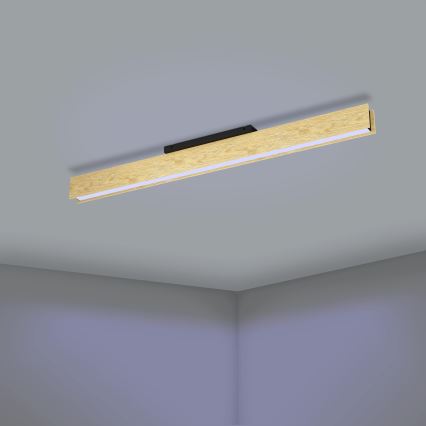 Eglo - LED RGBW Dimbare plafondlamp LED/35W/230V 2700-6500K