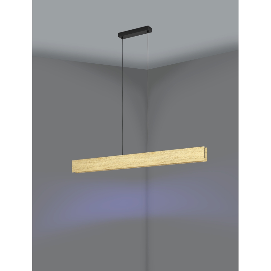 Eglo - LED RGBW Dimbare hanglamp aan een koord LED/35W/230V 2700-6500K