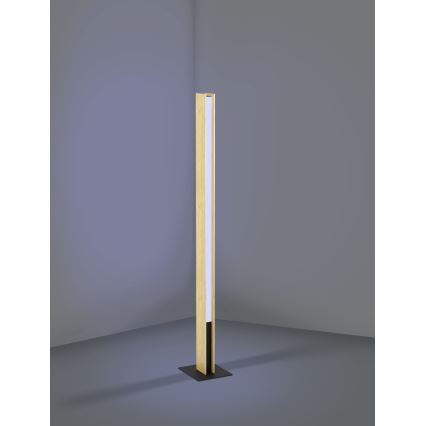 Eglo - LED RGBW Dimbare staande lamp LED/35W/230V 2700-6500K
