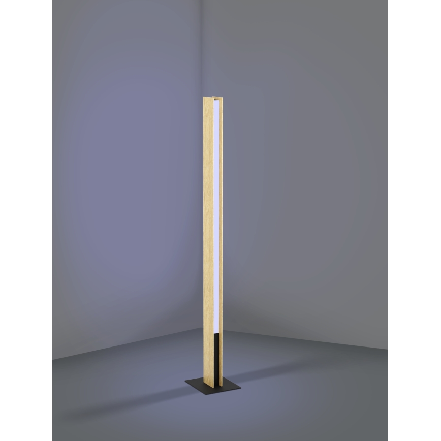 Eglo - LED RGBW Dimbare staande lamp LED/35W/230V 2700-6500K