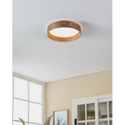 Eglo - LED Plafondlamp LED/24W/230V