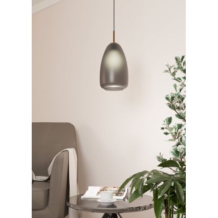 Eglo - Hanglamp aan een koord 1xE27/40W/230V