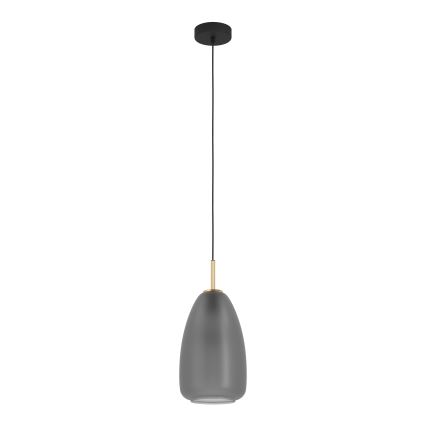 Eglo - Hanglamp aan kabel 1xE27/40W/230V