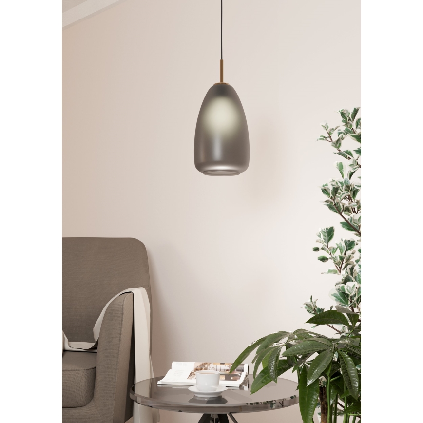 Eglo - Hanglamp aan kabel 1xE27/40W/230V