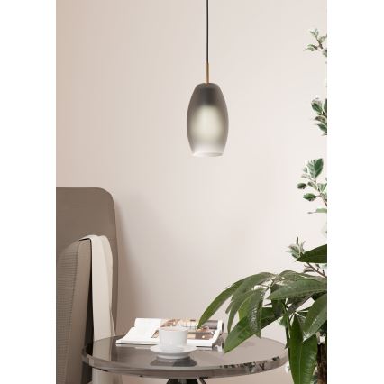 Eglo - Suspension filaire 1xE27/40W/230V