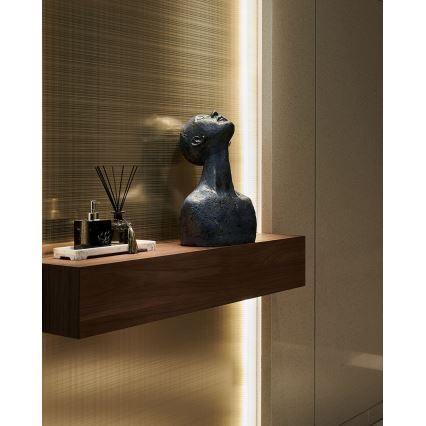 Eglo - Ruban à intensité variable 2m LED/13,2W/24/230V 2700-6500K + télécommande