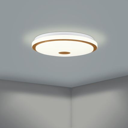 Eglo - LED Dimbare plafondlamp LED/35W/230V + afstandsbediening