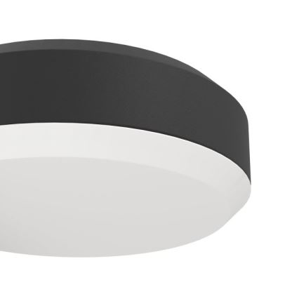 Eglo - LED Wandlamp voor buiten LED/10,8/230V IP54