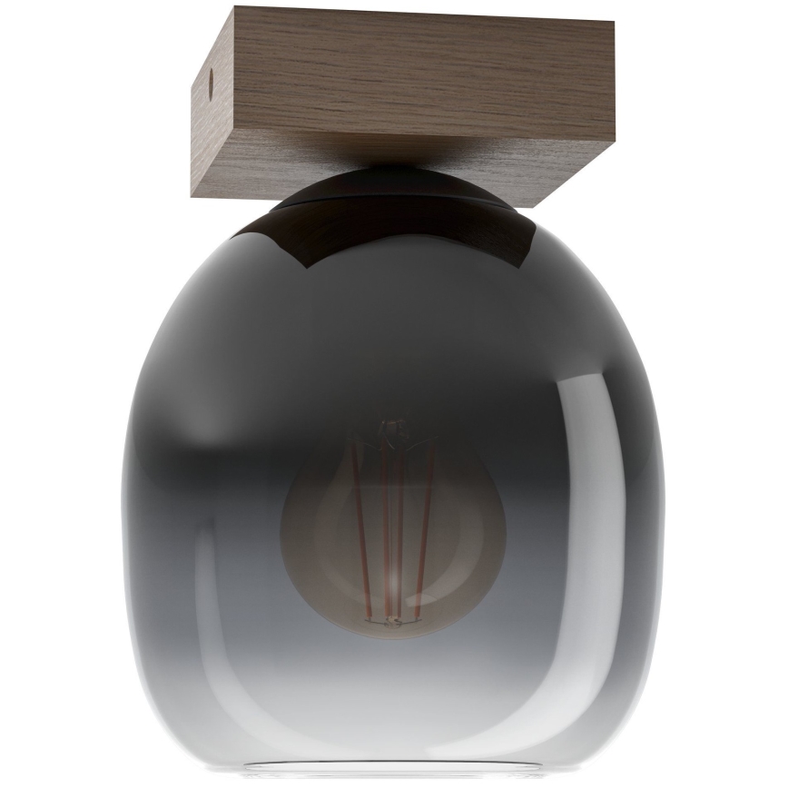 Eglo - Plafondlamp 1xE27/40W/230V