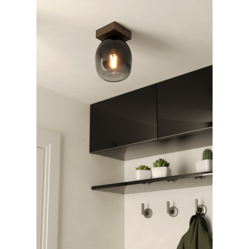 Eglo - Plafondlamp 1xE27/40W/230V