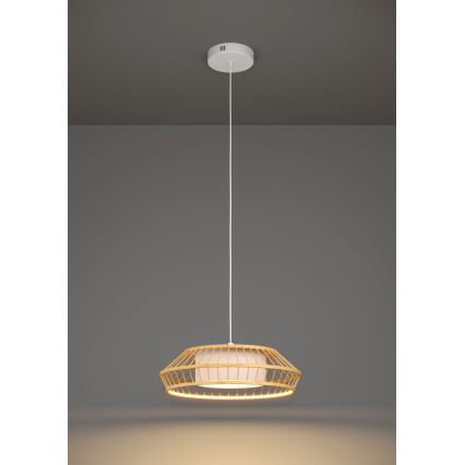 Eglo - LED RGBW Dimbare hanglamp aan een koord LED/22W/230V 2700-6500K