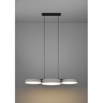 Eglo - LED RGBW Dimbare hanglamp aan een koord 3xLED/7,5W/230V 2700-6500K grijs