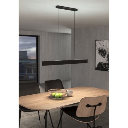 Eglo - LED RGBW Dimbare hanglamp aan een koord LED/38W/230V 2700-6500K zwart