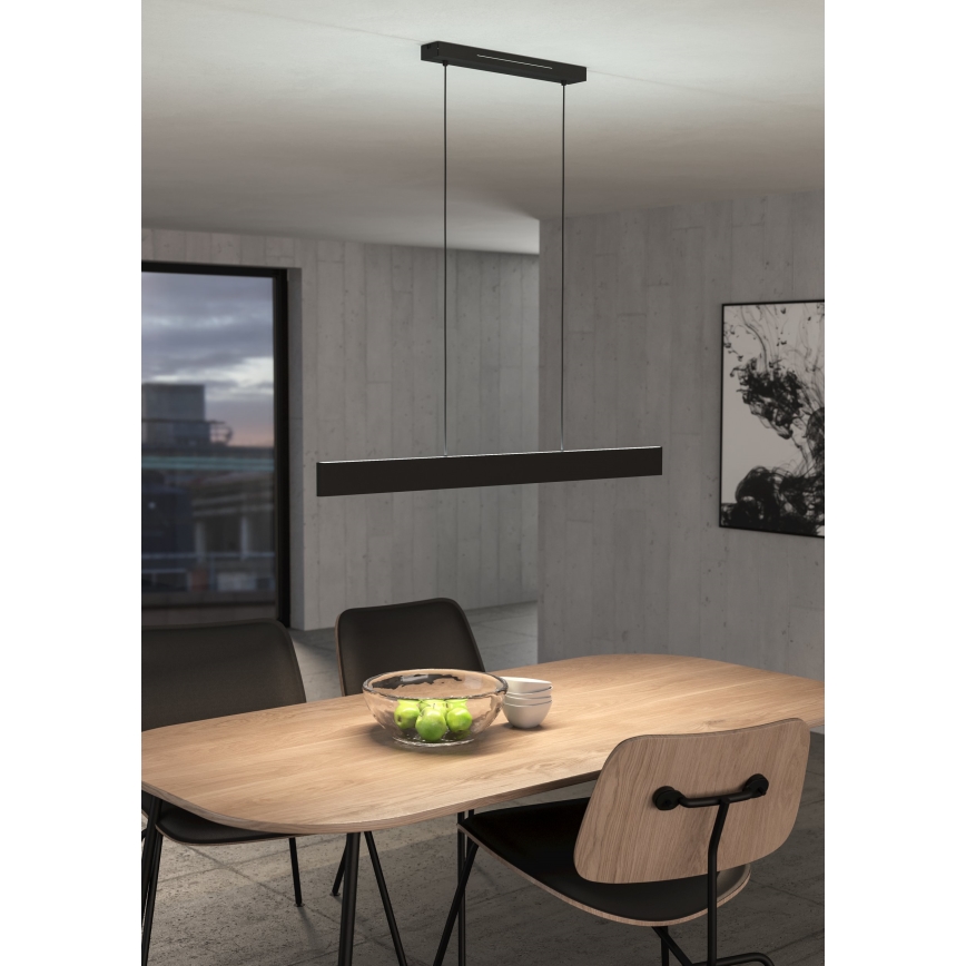 Eglo - LED RGBW Dimbare hanglamp aan een koord LED/38W/230V 2700-6500K zwart