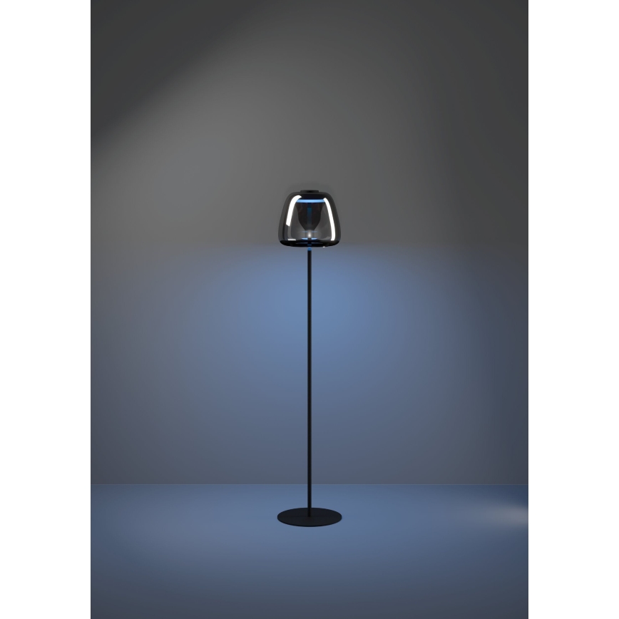 Eglo - Lampadaire LED RGBW à intensité variable LED/15,5W/230V 2700-6500K fumé